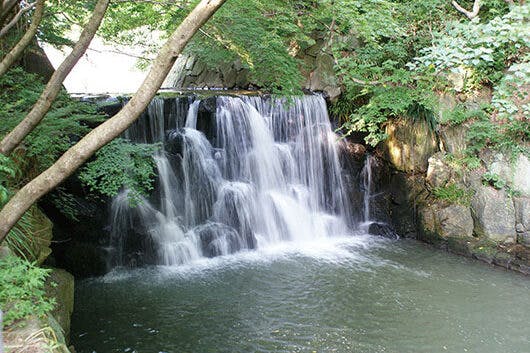 アズハイム横浜戸塚 まさかりが淵市民の森
