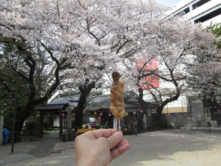 たのしい家名西 お花見