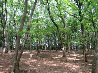 グループホームみんなの家・南中野 猿花キャンプ場