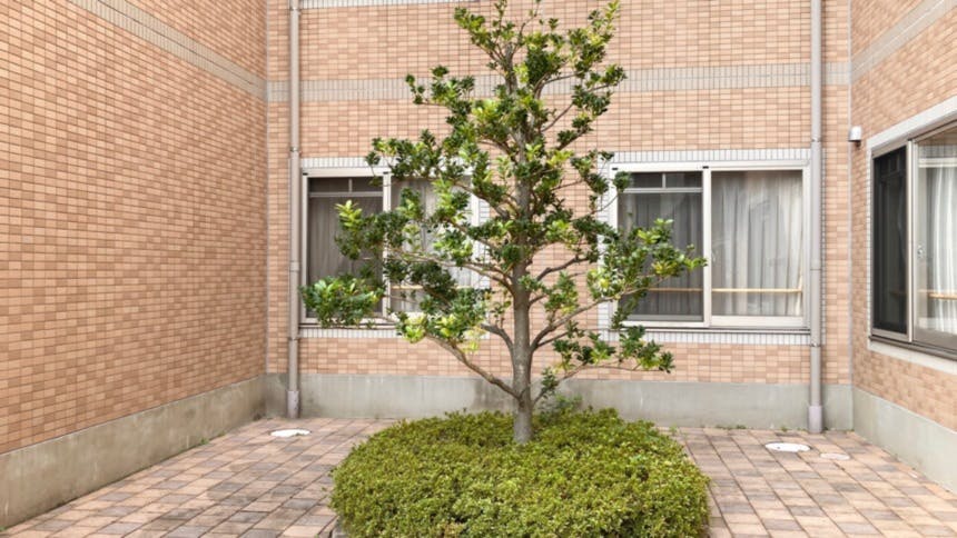 そんぽの家 豊山 中庭