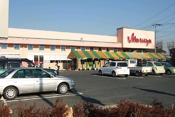 ハーウィルアシスト栗橋 マルヤ南栗橋店
