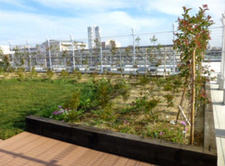 特別養護老人ホーム 東かなまち桜園 屋上庭園