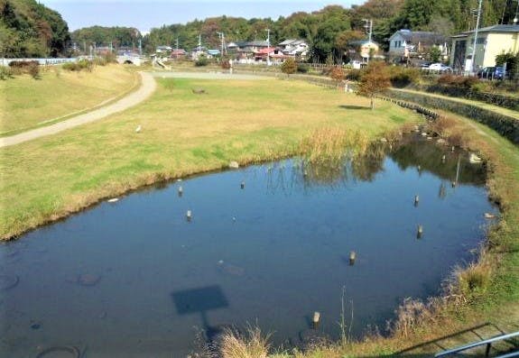 グループホームみんなの家・横浜いずみ野 和泉川宮沢遊水池