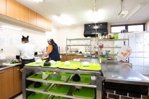 住宅型有料老人ホームあんじゅ宿 調理場
