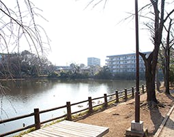 グランコスモ武蔵浦和 白幡沼