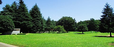 ジョイライフ光が丘 光が丘公園