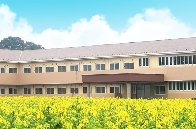 コンフォータブル・プラス蓮沼 外観