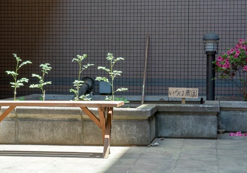 いろは常盤平 農園