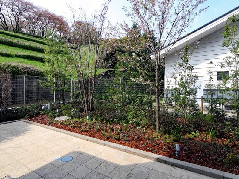 チャームスイート京王聖蹟桜ヶ丘 植栽
