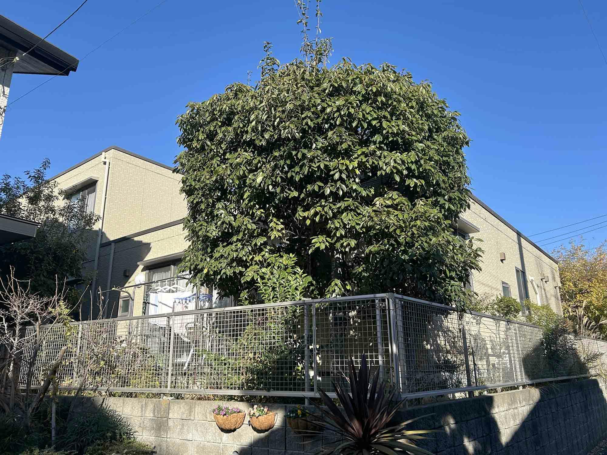 鎌倉ケアハートガーデン湘南笛田 外観