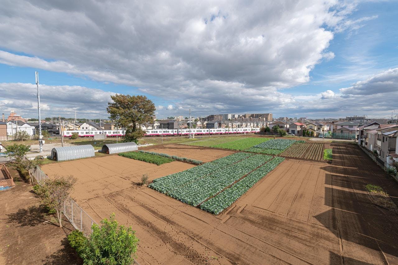 イリーゼ船橋三咲 畑