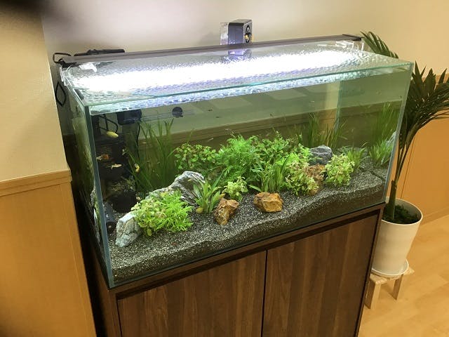 アップコート喜連東 玄関