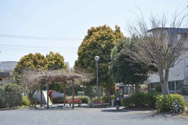 グランドマスト成城北 入間第一仲よし公園