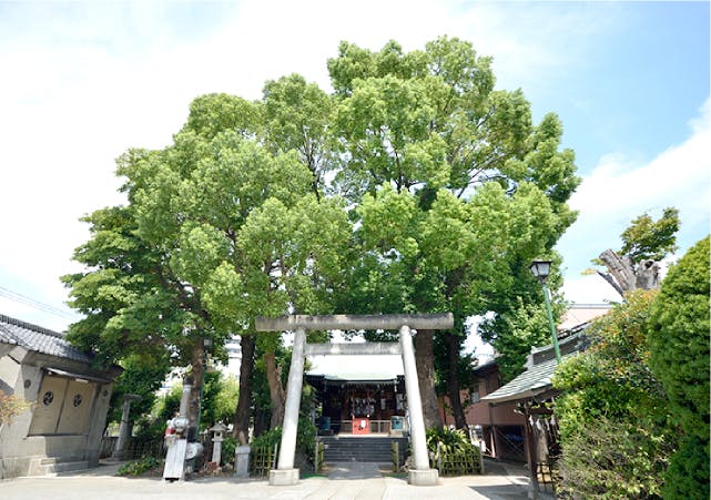 グランドマスト墨田文花 小村井香取神社
