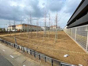 ロイヤルレジデンス入間 施設裏手