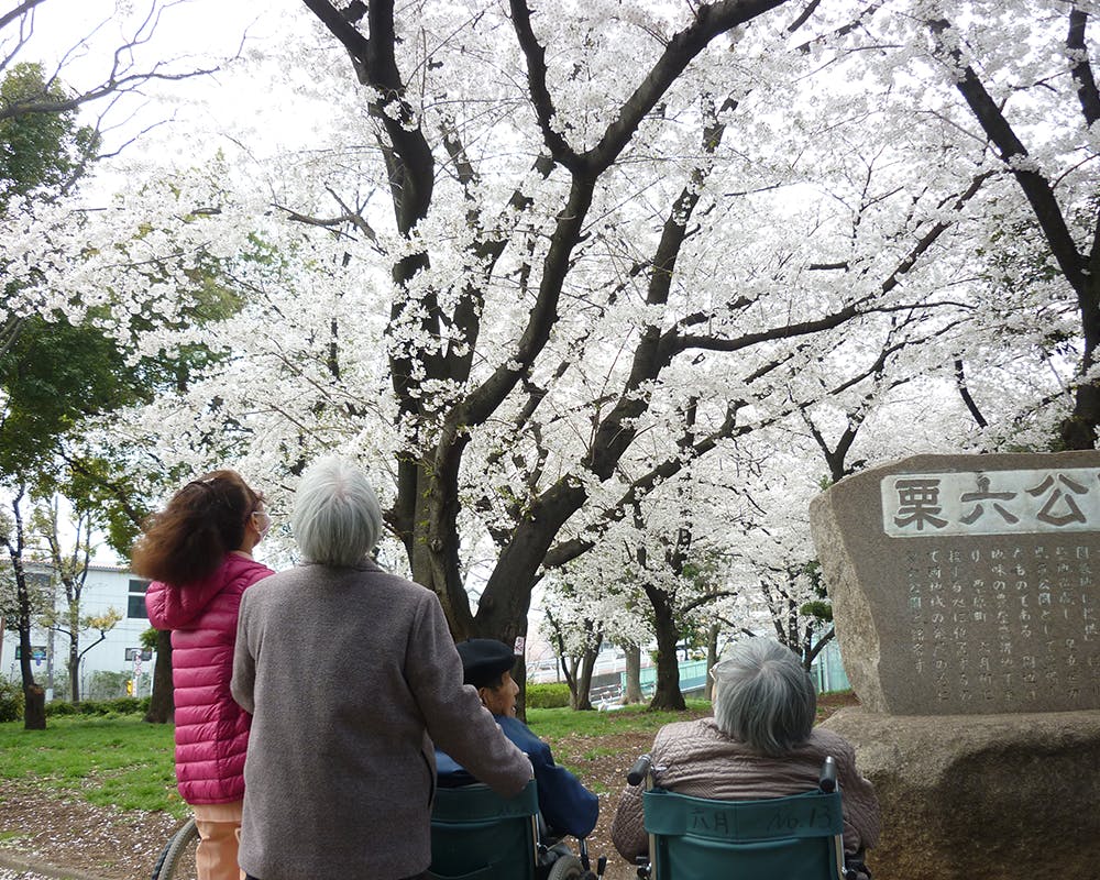 竹の塚明生苑六月 外出