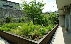 アズハイム横浜上大岡 花壇