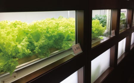 ネオ・サミット茅ヶ崎 植物工場