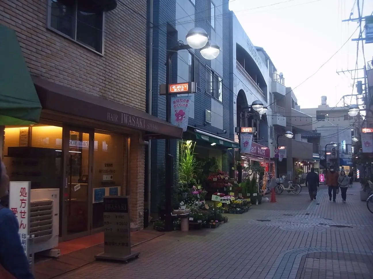 シルバーシティ駒込 染井銀座商店街