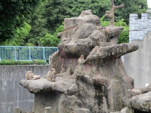 ローゼンホーム上山２号館 外出行事