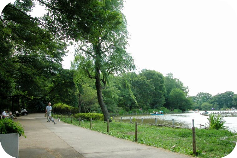 アライブ荻窪 善福寺公園