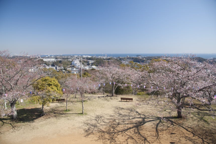 ＳＯＭＰＯケア ラヴィーレ衣笠山公園 衣笠山公園