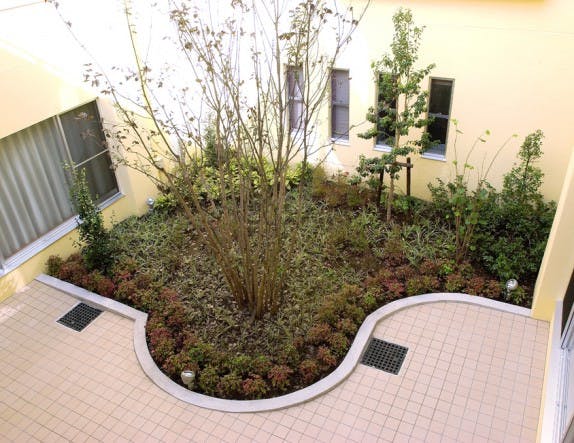 ライフコミューンふじみ野 中庭