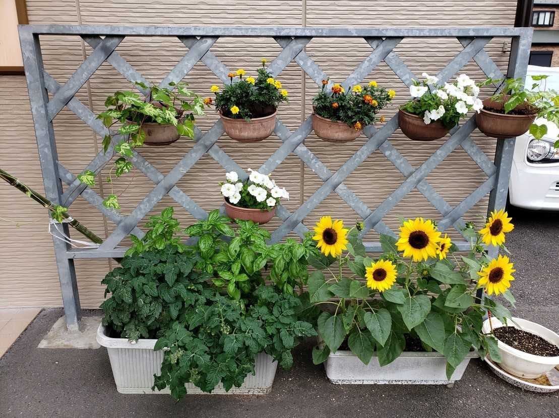 ニチイケアセンター平塚湘南 花壇