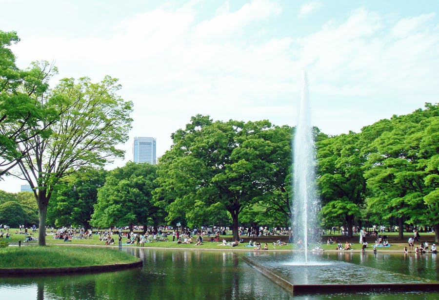 グランレーヴ渋谷 代々木公園