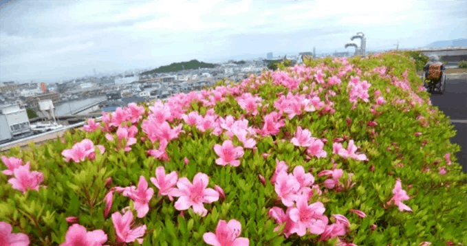 フィレンツェライフ青山 屋上庭園