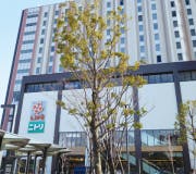 リリィパワーズレジデンスすみだ向島 ライフ　セントラルスクエア押上駅前店