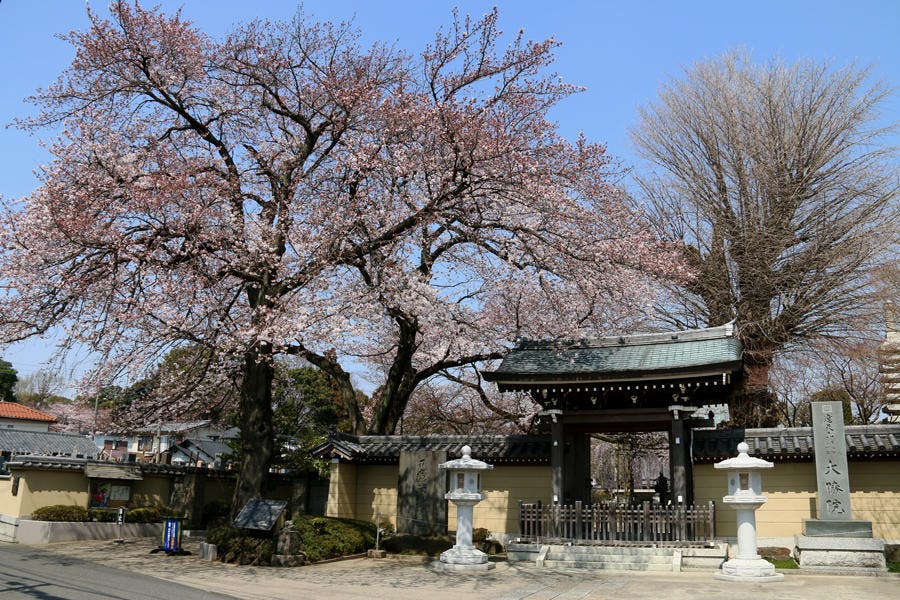 アミカの郷松戸 大勝院
