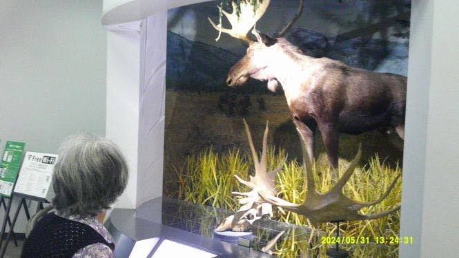 ニチイケアセンター大野台 美術館見学