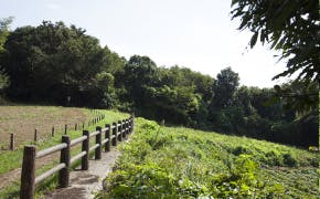 そんぽの家S戸塚 舞岡ふるさとの森
