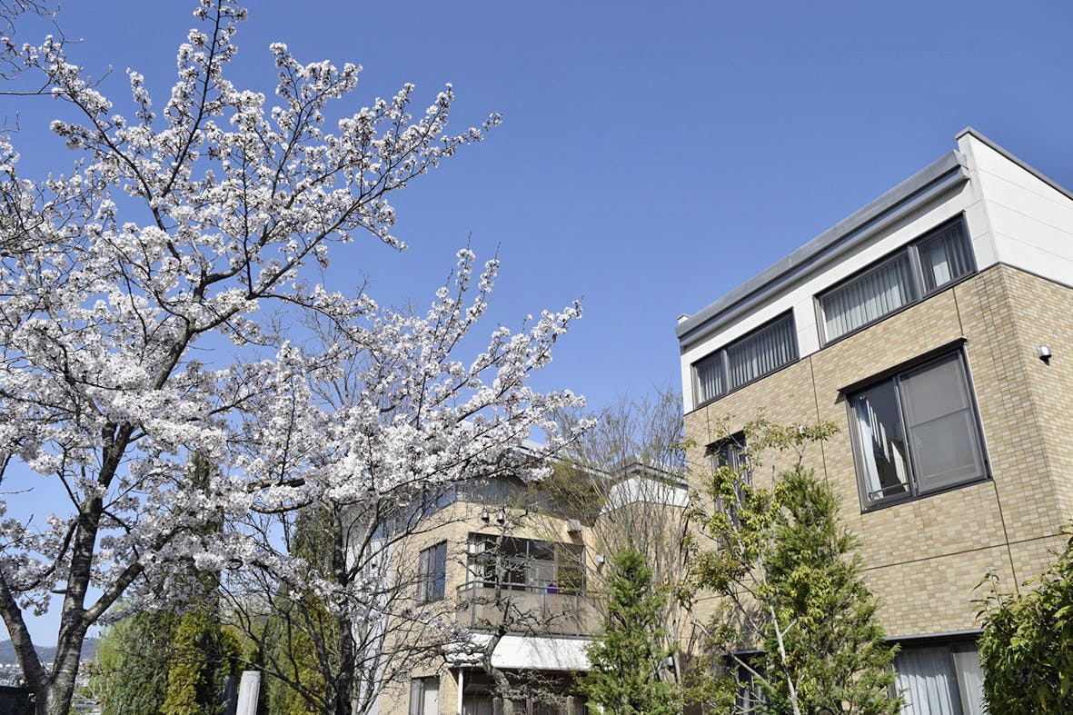 グループホームポプラ東山 庭