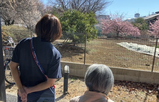 SOMPOケア ラヴィーレ朝霞 梅見会