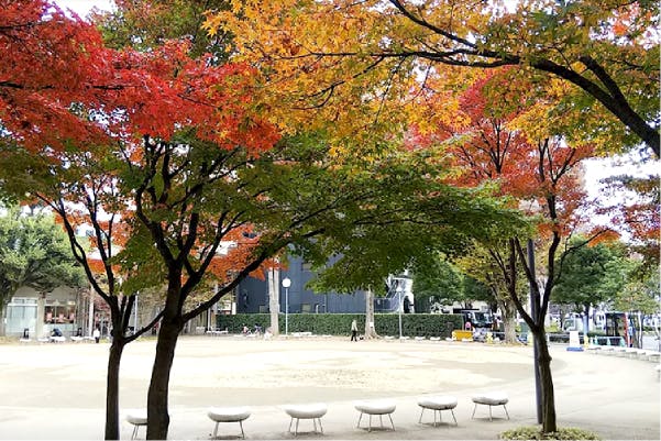 グランドマスト三鷹上連雀 境南ふれあい広場公園