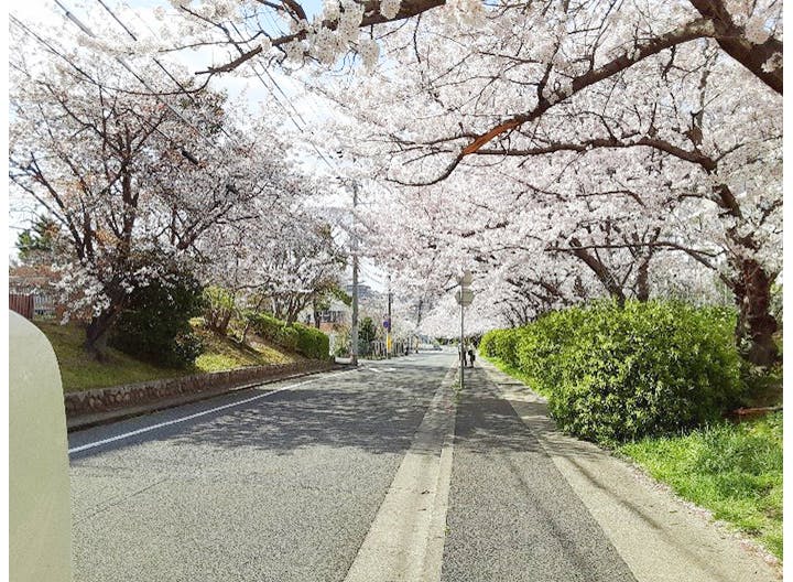 グループホームたのしい家西舞子 お花見