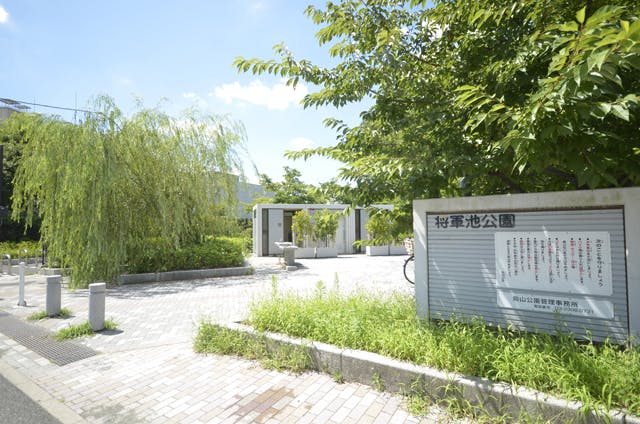 グランドマスト八幡山 将軍池公園