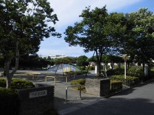 エルダーガーデン南つくし野 つばき公園