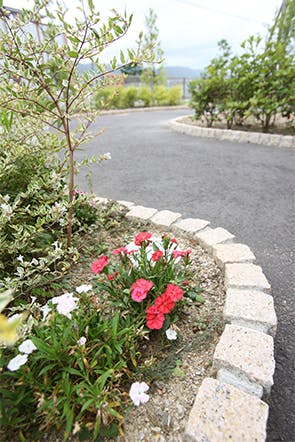 クレア城ノ内 庭
