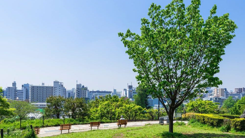 トラストガーデン南平台 西郷山公園