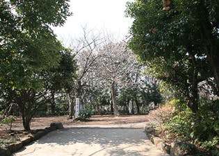 アライブ久が原 東調布公園