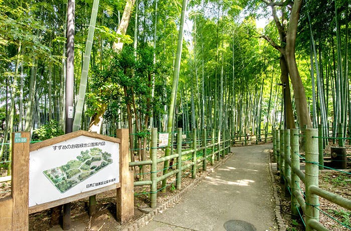 チャームプレミア柿の木坂 すずめのお宿緑地公園