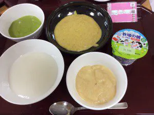 サービス付き高齢者向け住宅なでしこ南台 潰瘍食