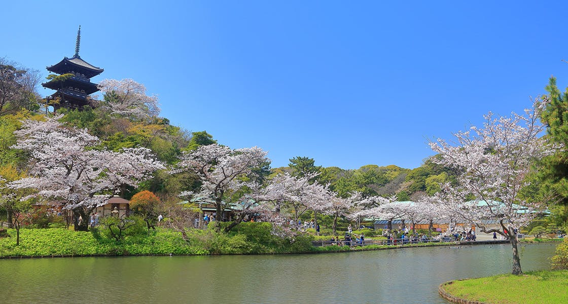 ヒルデモア三渓園 三溪園