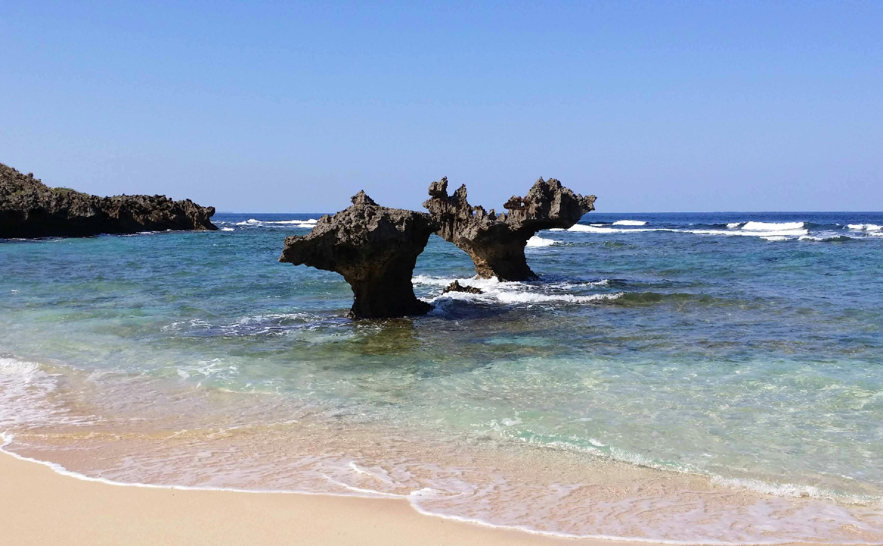 サービス付き高齢者向け住宅ここいち池原 その他