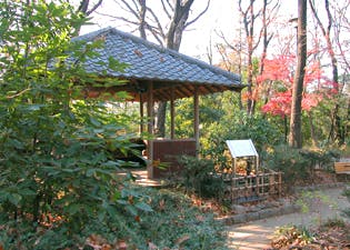 アライブ目白 おとめ山公園