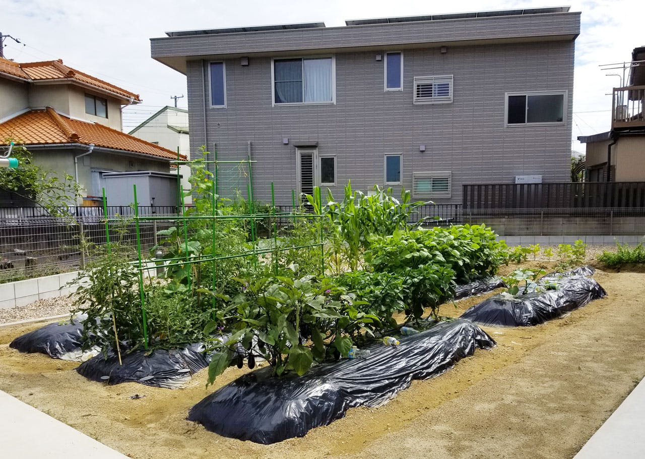 グループホームさくらいふ八田町 菜園畑
