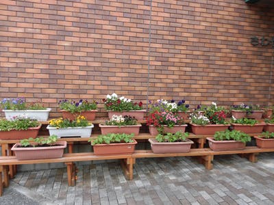 さわやか花美館 プランター